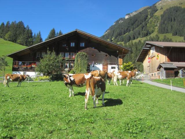 Gaesslihof Bed and Breakfast Gstaad Exterior foto